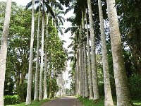 P1010100