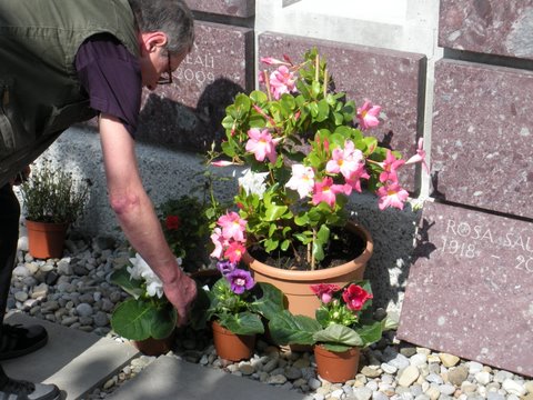 DSCN0479.JPG