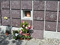 DSCN0482